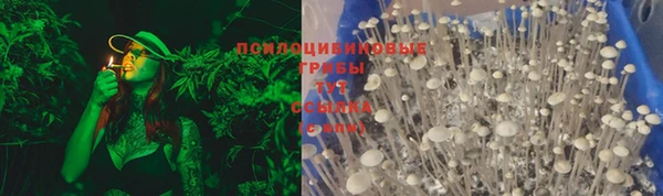трава Краснотурьинск