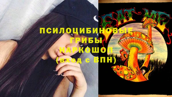 хмурый Краснослободск