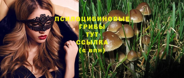 хмурый Краснослободск