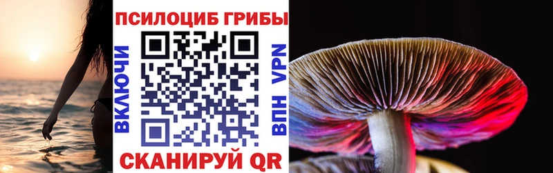 Галлюциногенные грибы Cubensis  Купить закладки  Чудово 